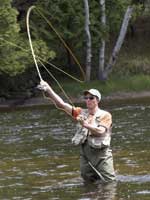 <dry fly hackle>